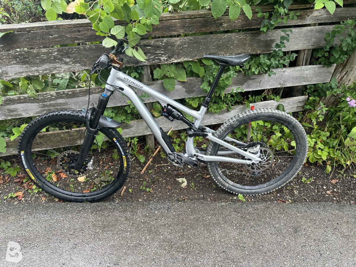 Specialized Stumpjumper 15 EVO 2025