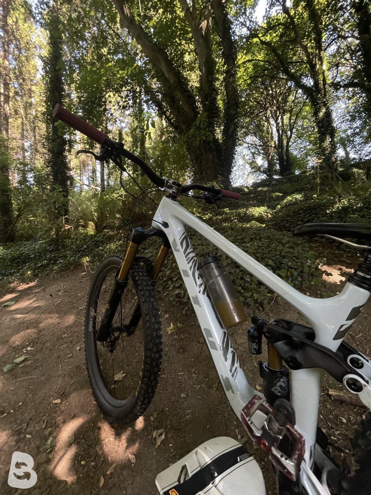 Vitus Sommet 297 CRX 2023
