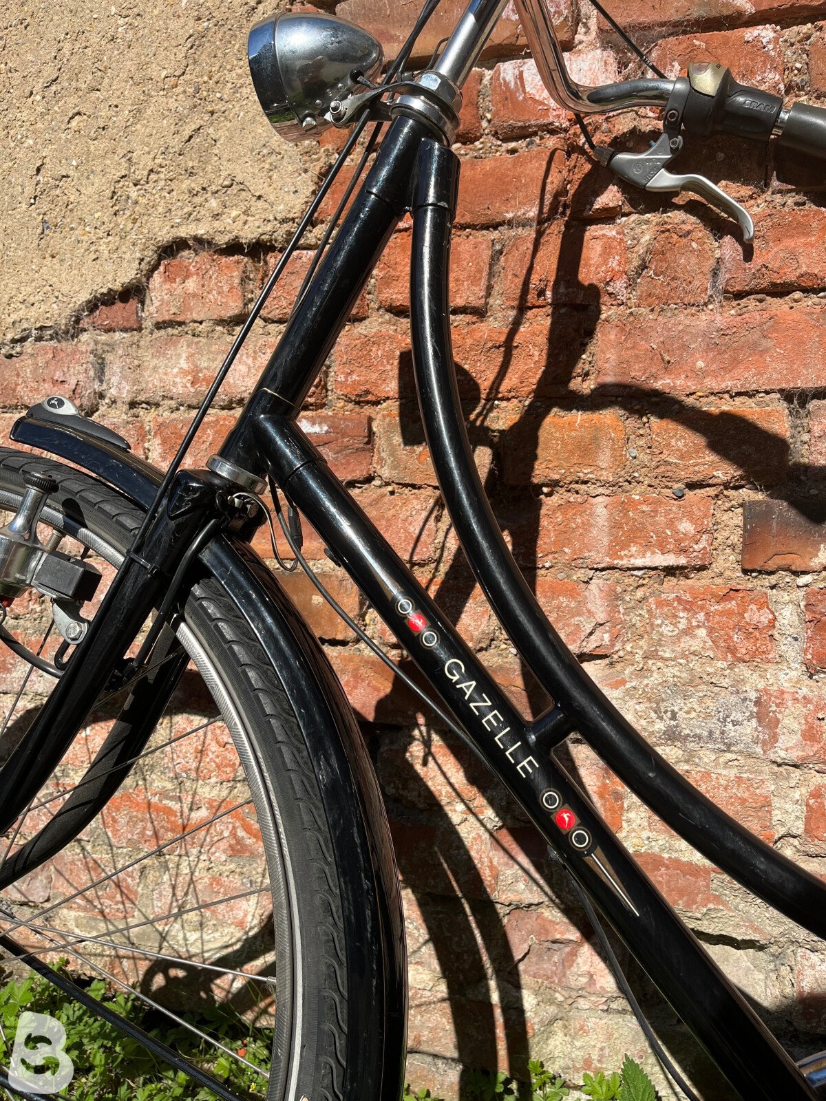 Gazelle Classic Low-Step 2022