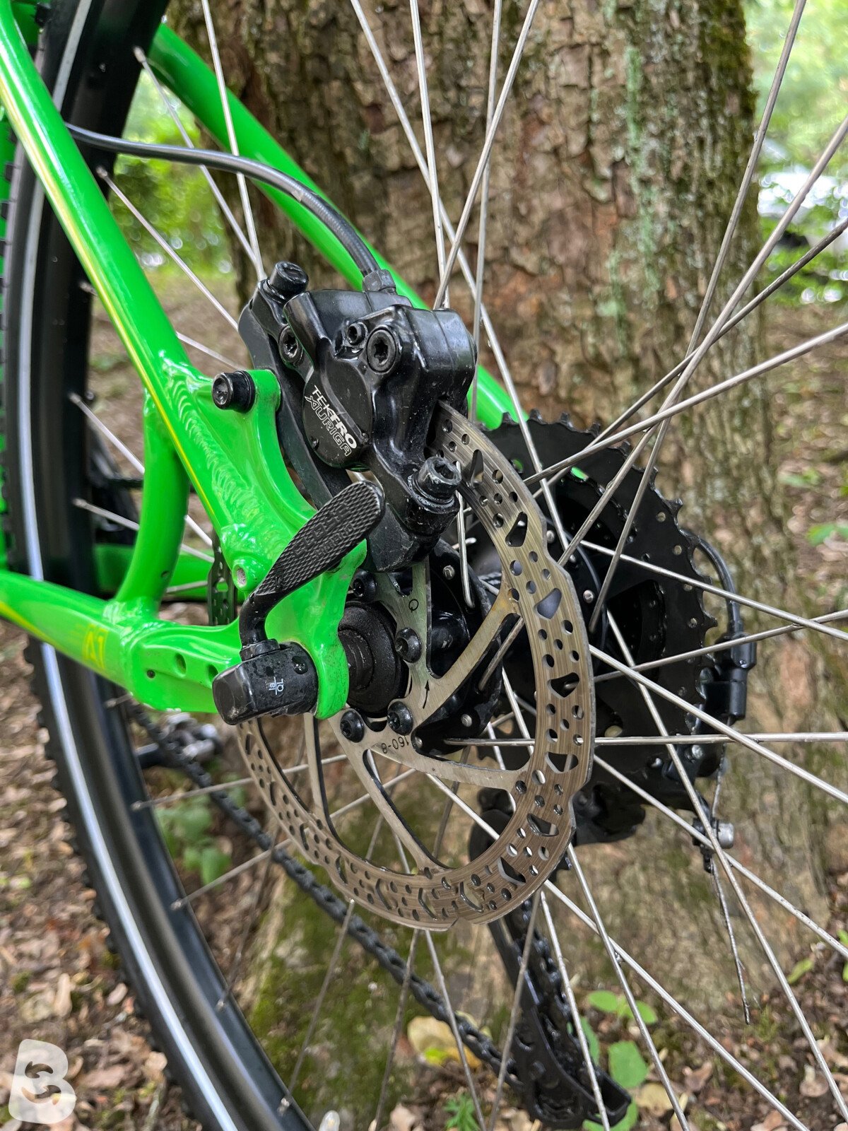 Specialized Rockhopper 29 2016