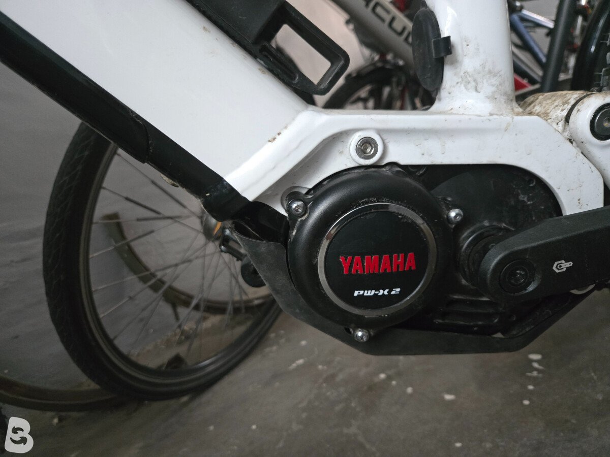 Raymon Trailray 160E 7.0 2022