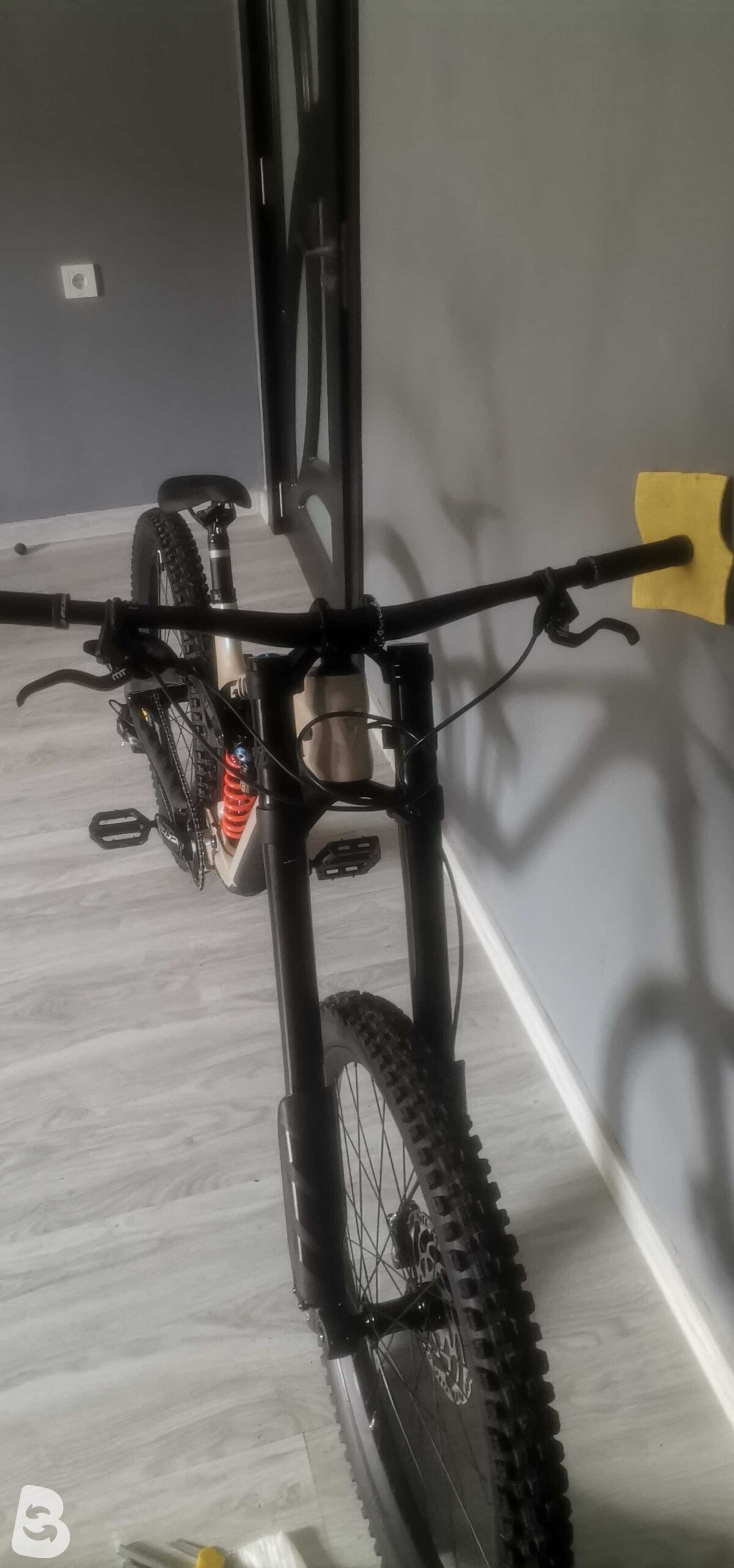 Giant Glory Advanced 2024
