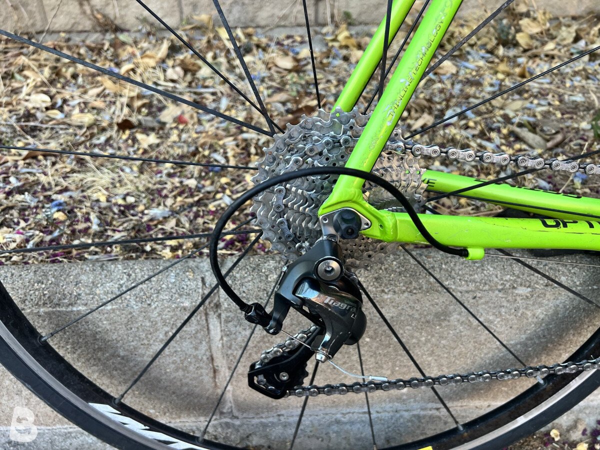 Cannondale Caad Optimo 2019