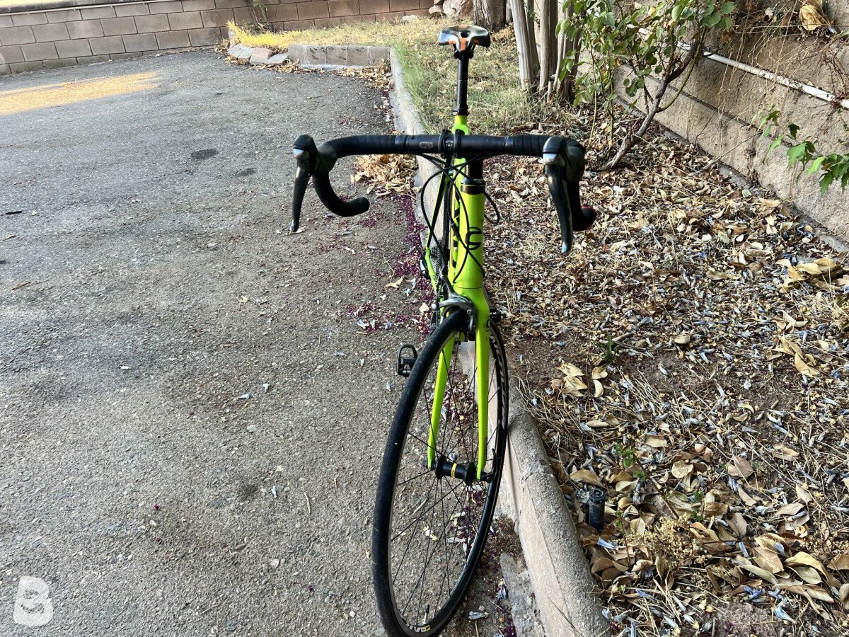 Cannondale Caad Optimo 2019