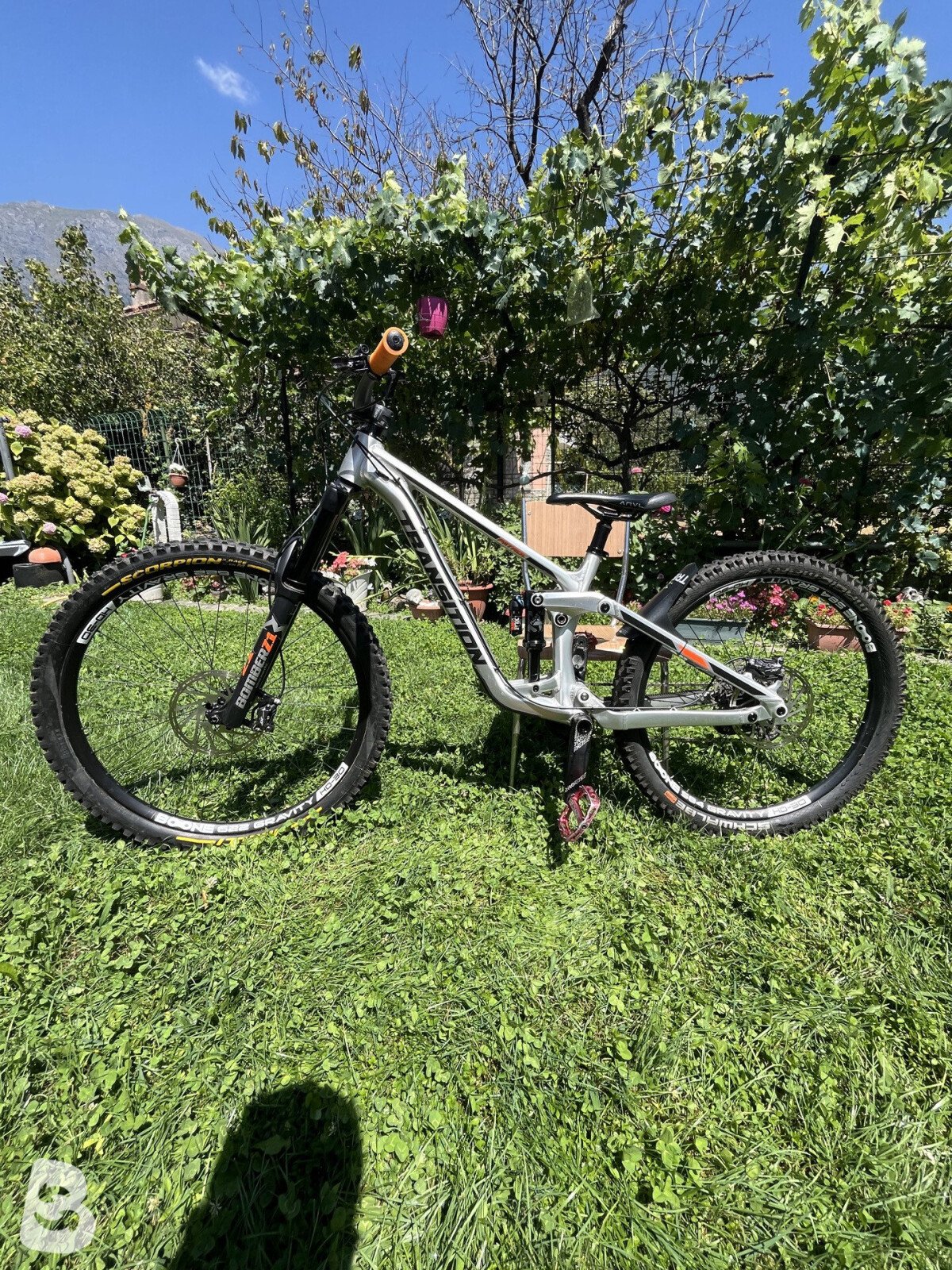 Transition Patrol Alloy NX 2022