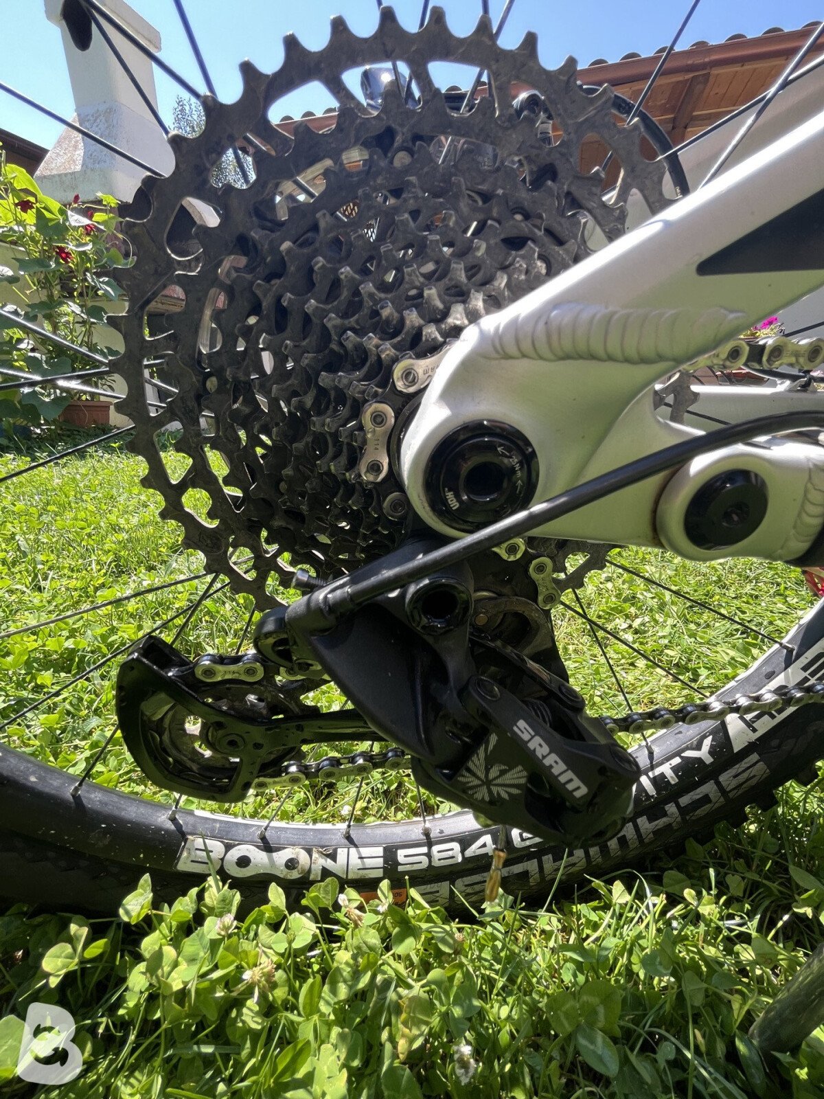 Transition Patrol Alloy NX 2022