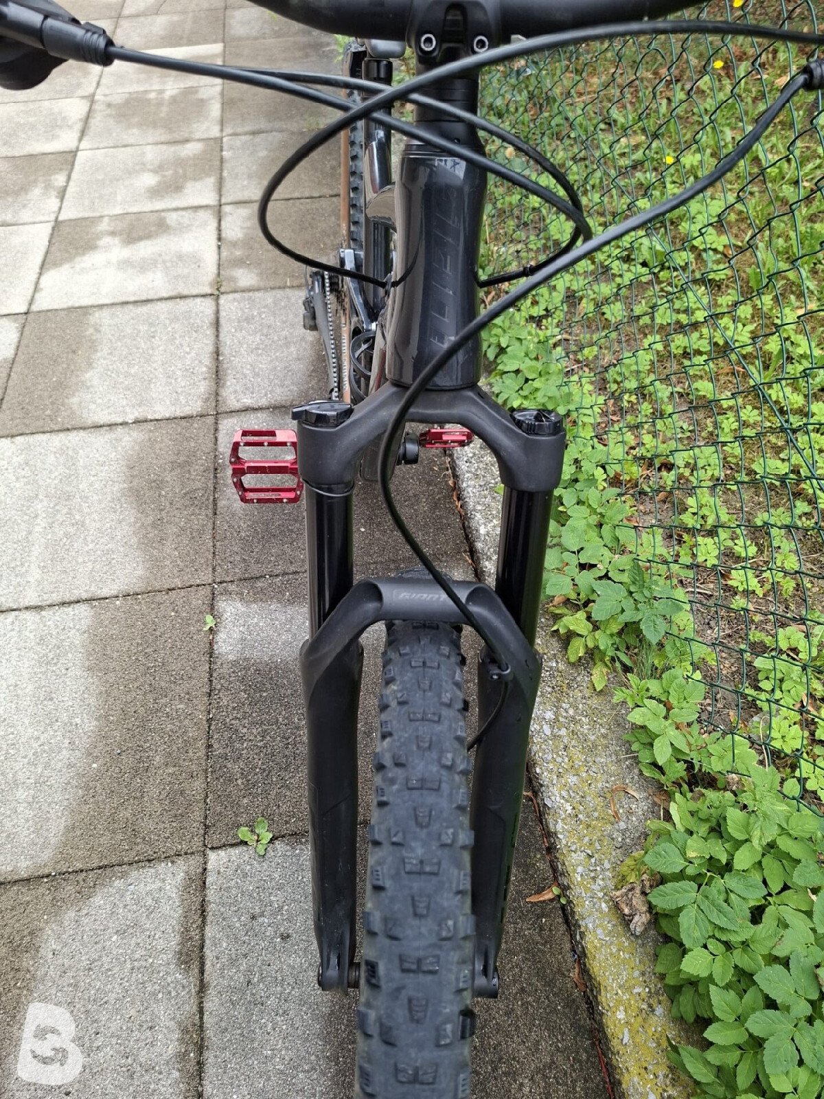 Giant Stance 2 2025