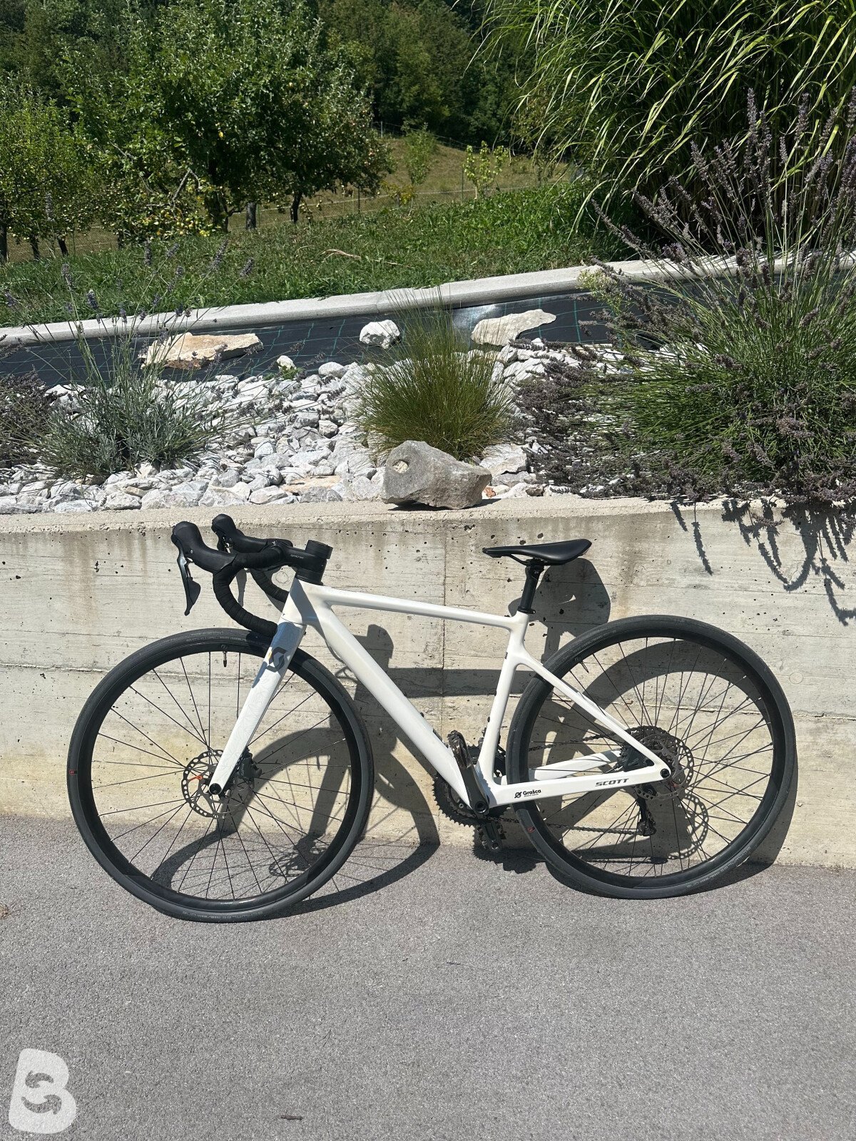 Scott Contessa Addict 35 2024