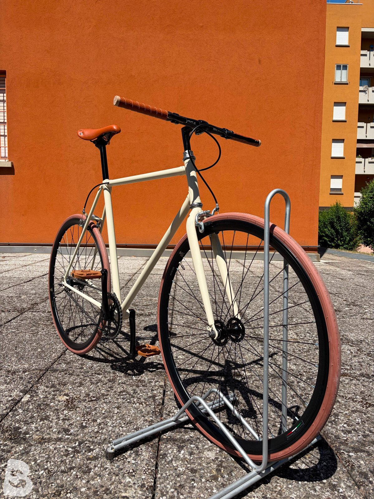 Olmo Fixed