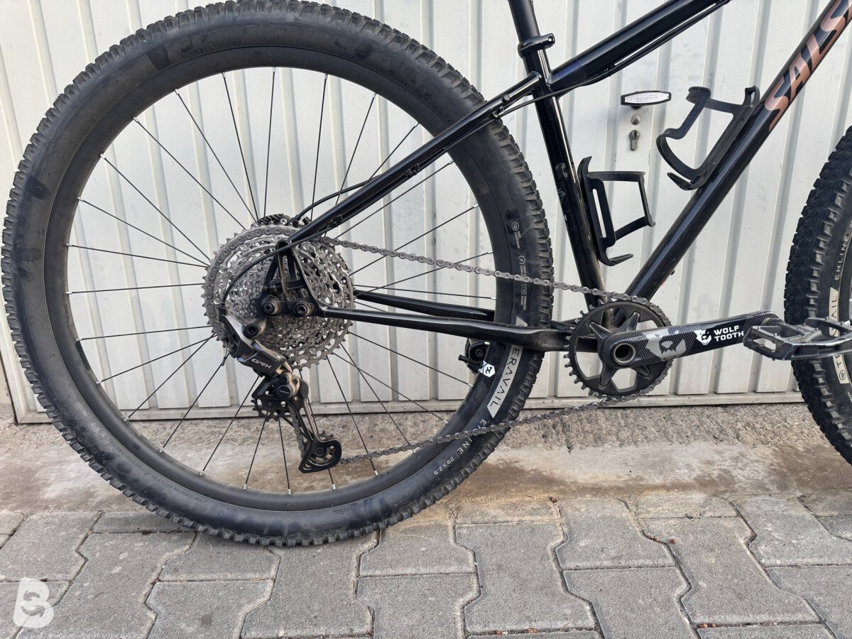 Salsa Fargo 2024