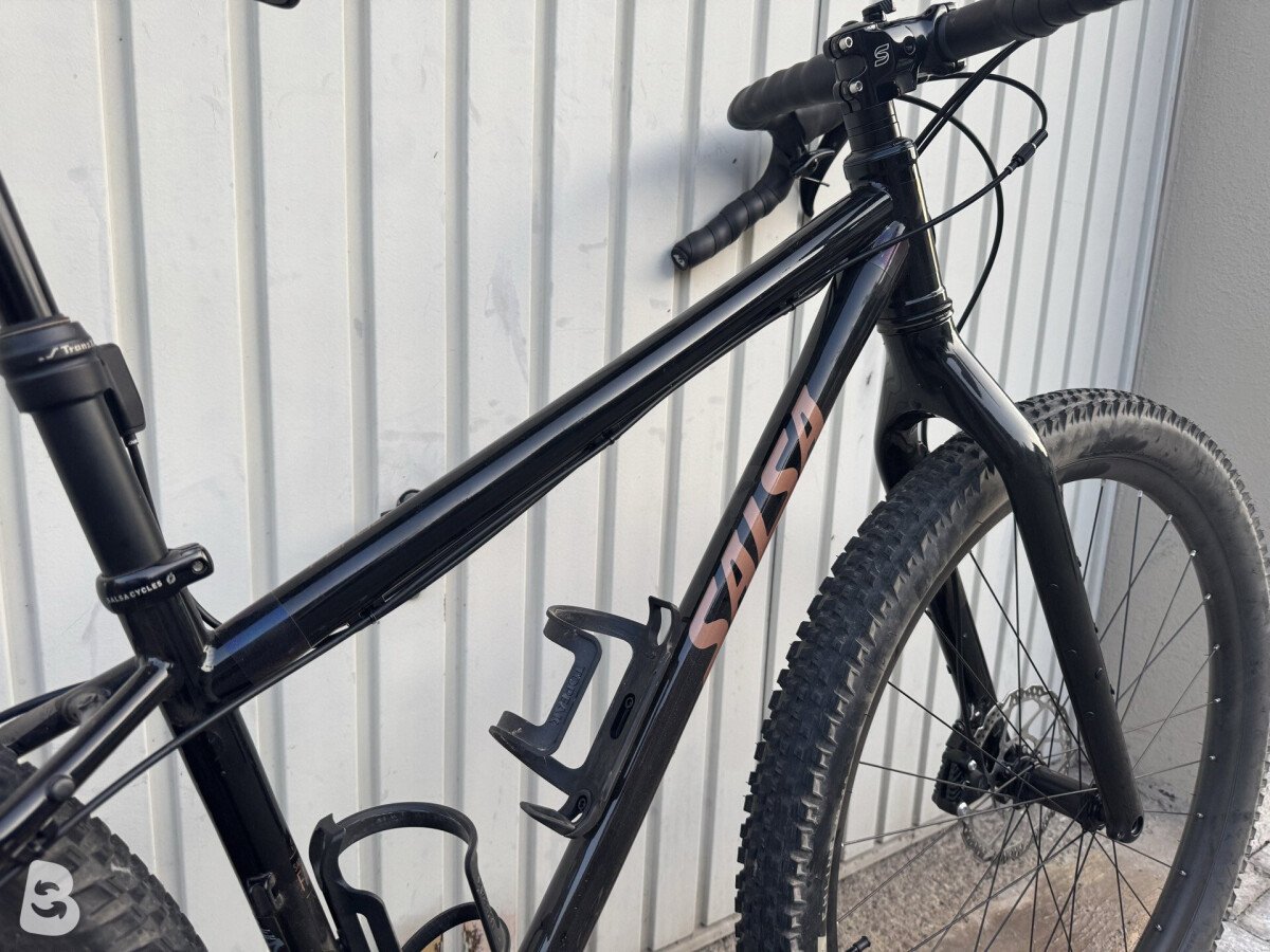 Salsa Fargo 2024