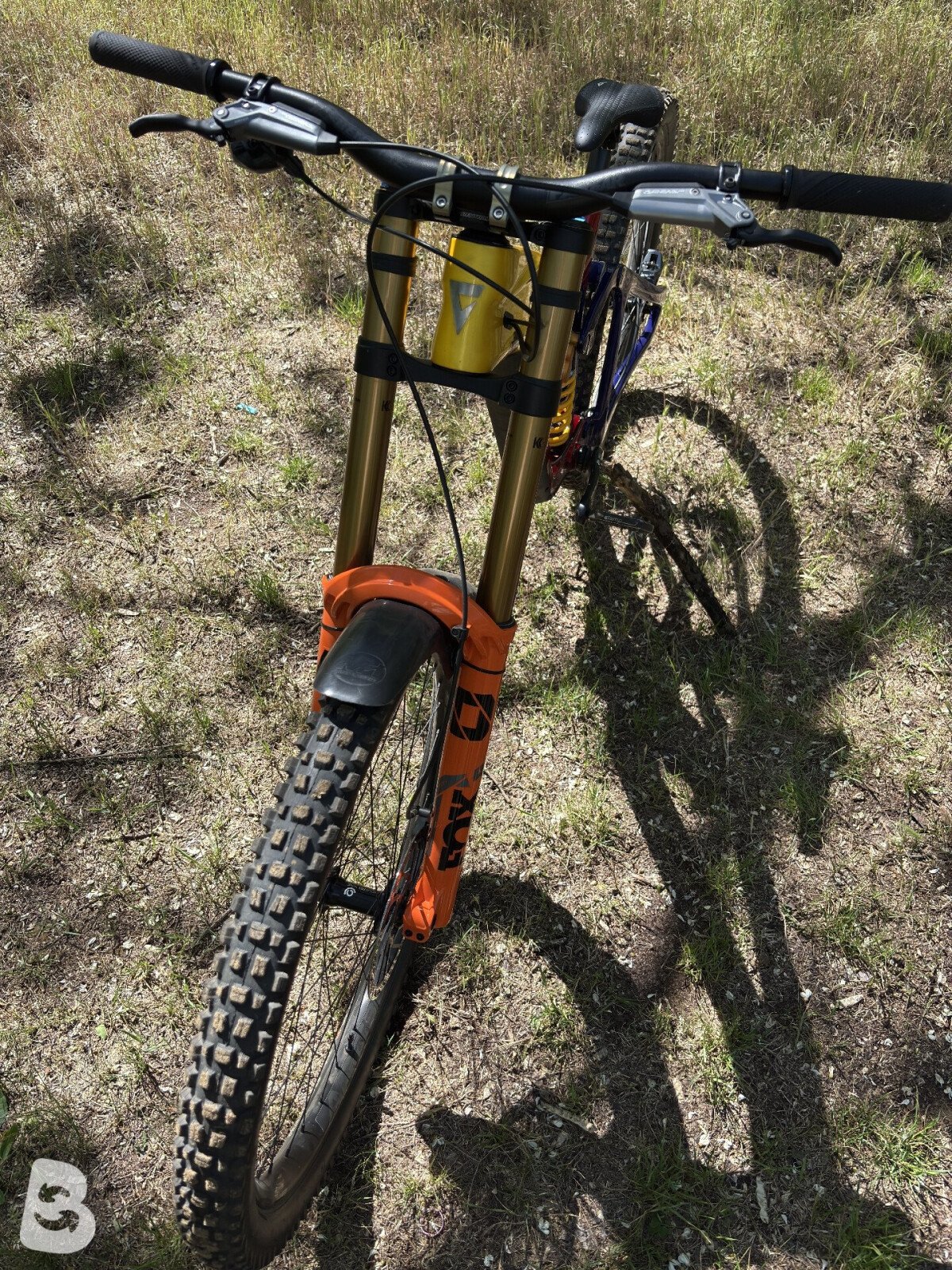 Giant Glory Advanced 2024
