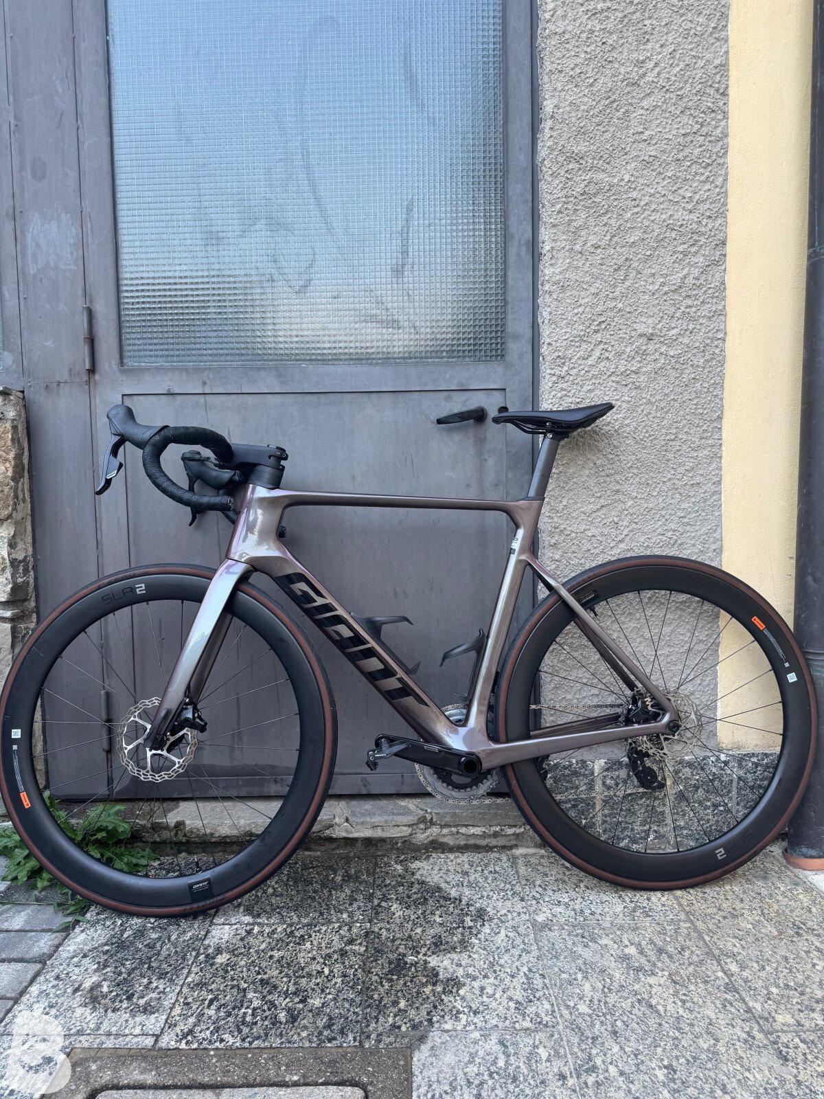 Giant Propel, Advanced 1 2023