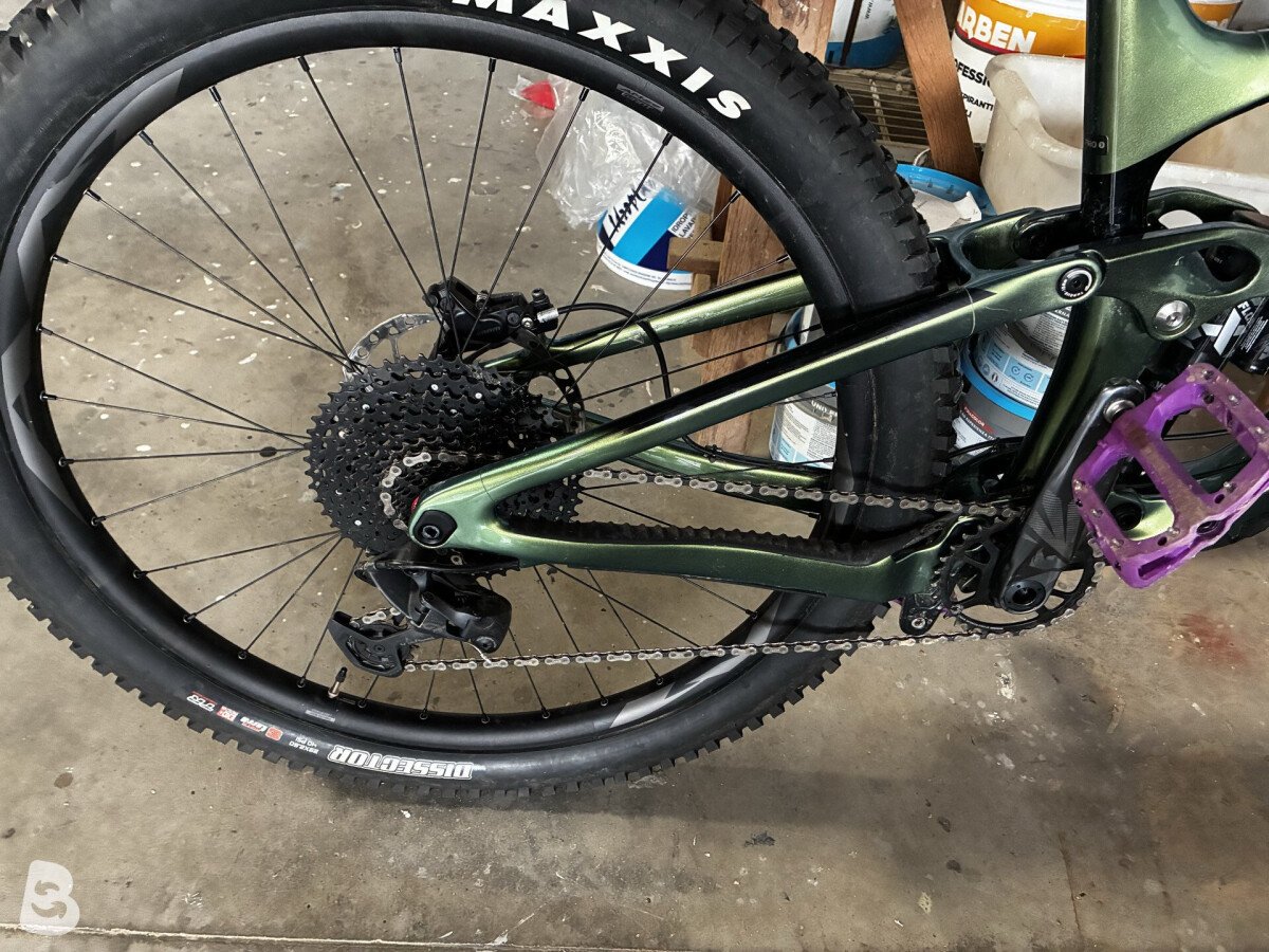 Giant Reign, Advanced 1 2020