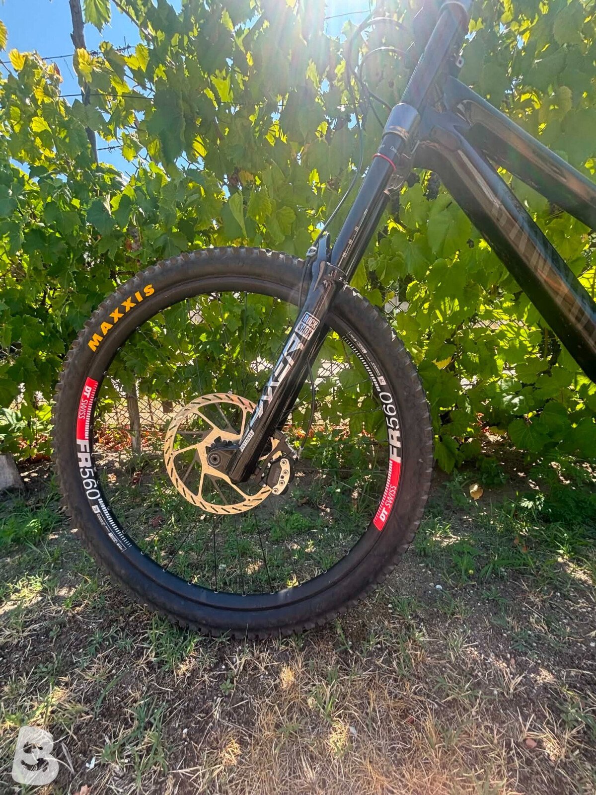 Canyon Sender CFR 2021