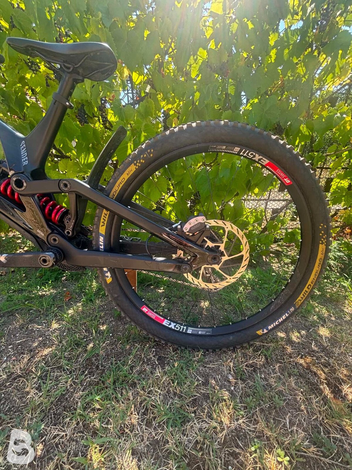 Canyon Sender CFR 2021