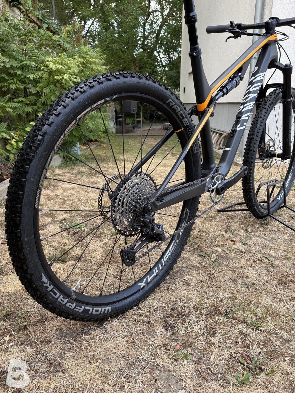 Canyon Lux CF SLX 2020