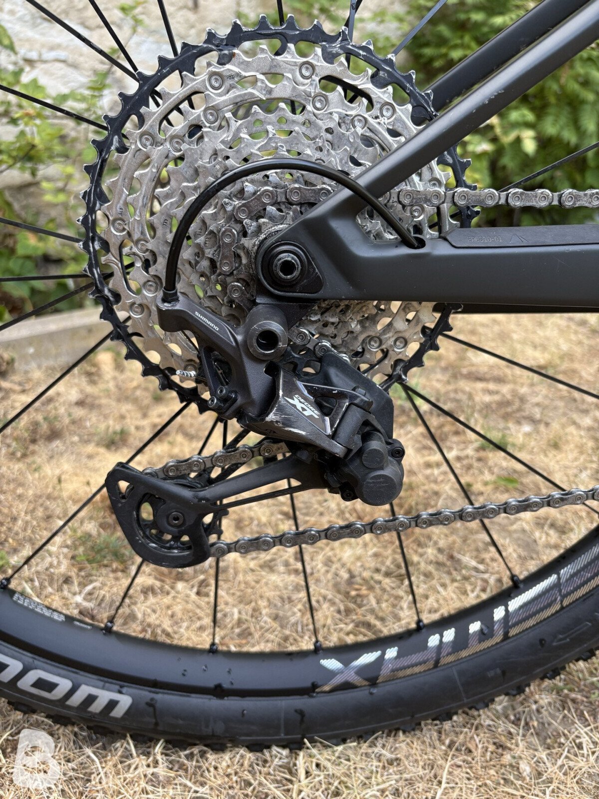 Canyon Lux CF SLX 2020