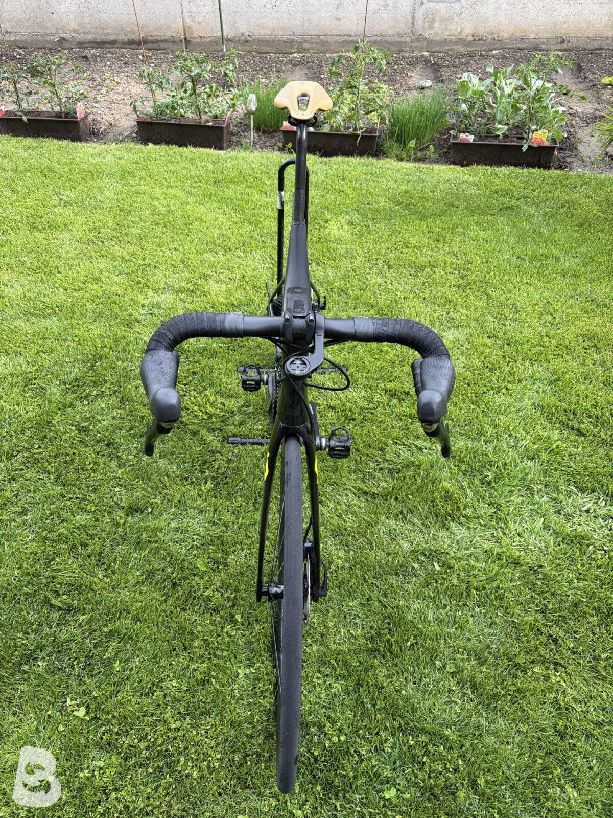 Scott Foil 10 2020