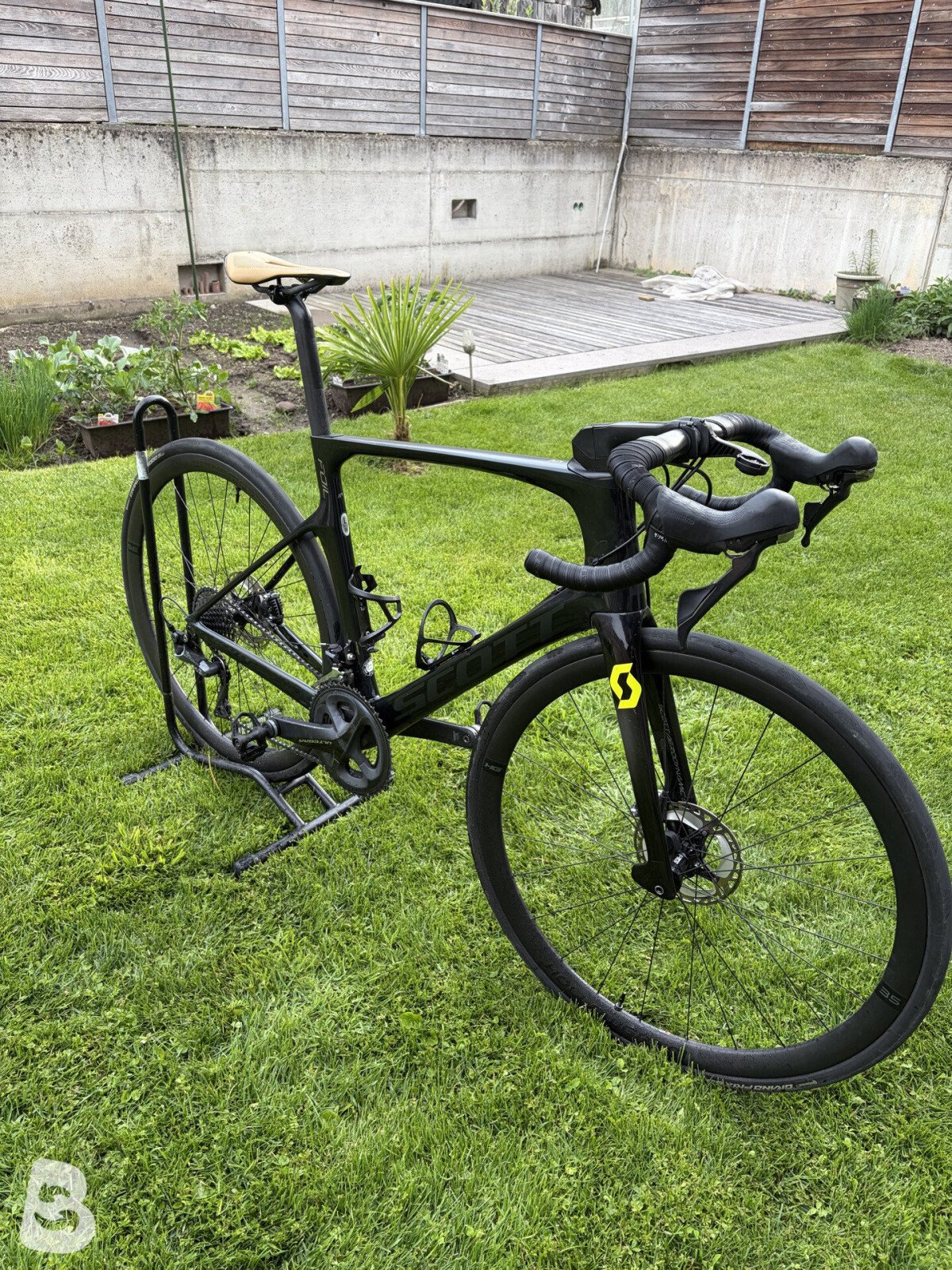 Scott Foil 10 2020