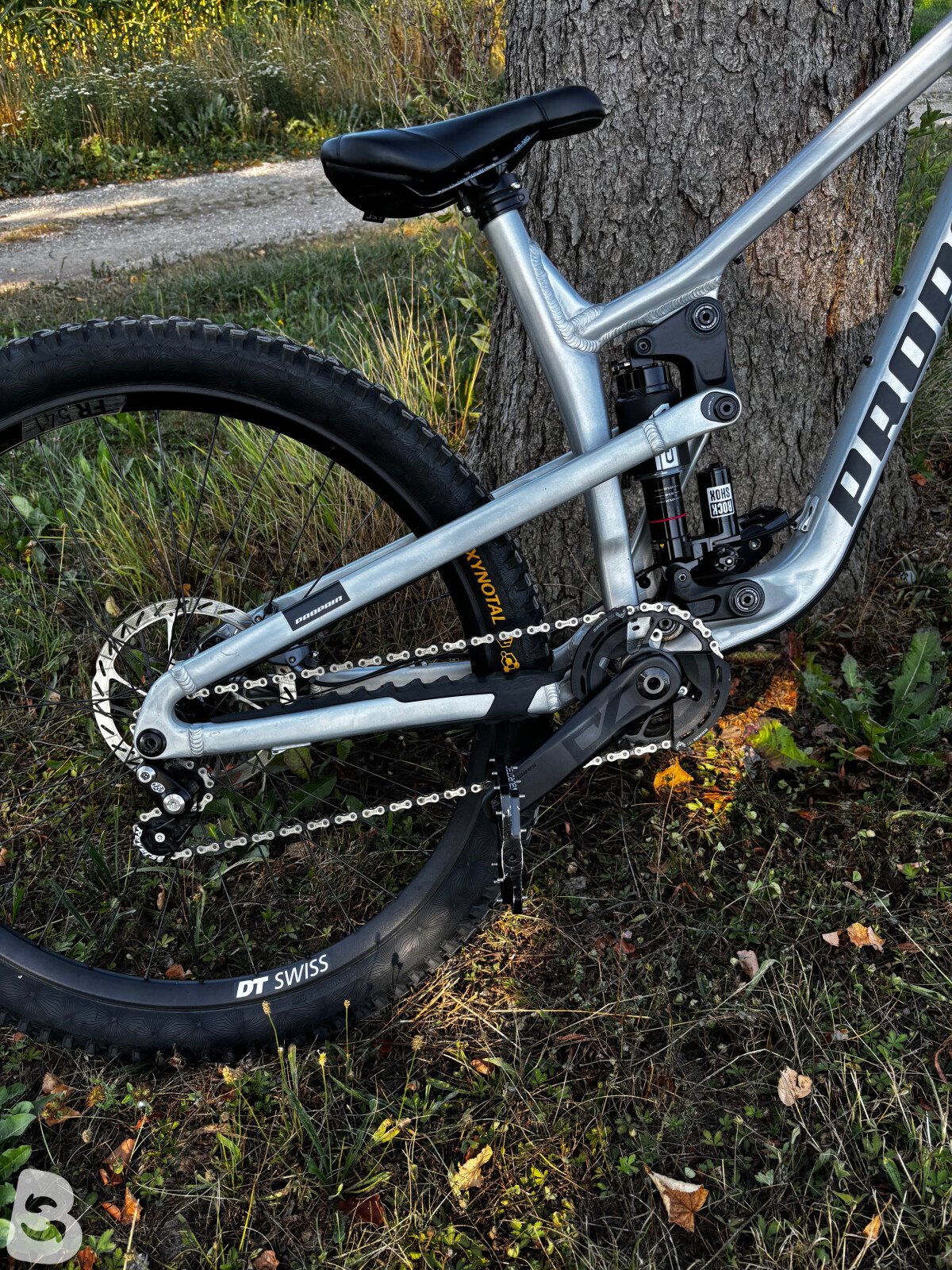 Propain tyee AL custom 2025