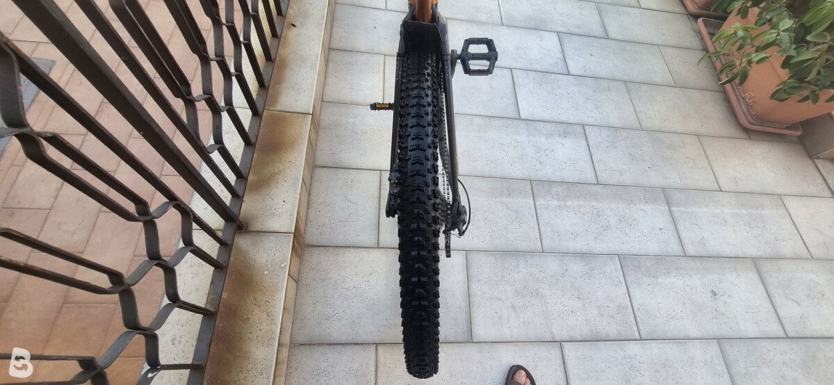 Orbea RISE H15 2022