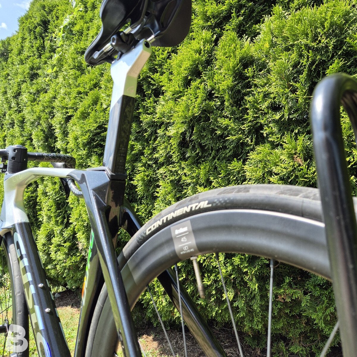 Gusto Duro EVO Carbon Rennrad 2025