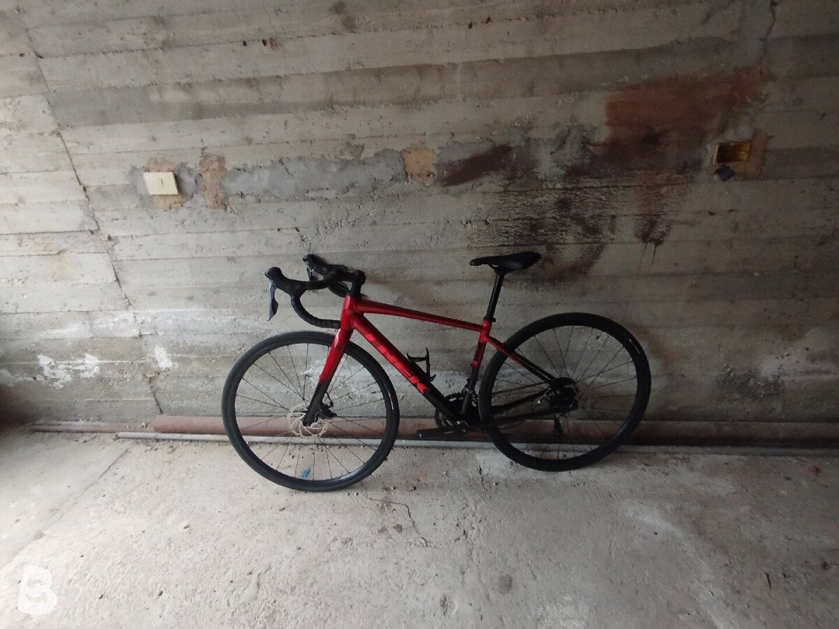 Trek Domane Al 2 Gen 4 2024