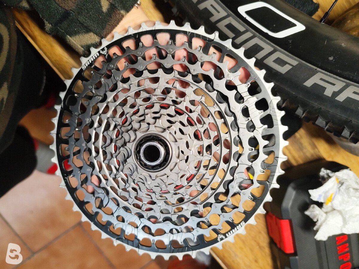 Scott Scale RC World Cup AXS 2025