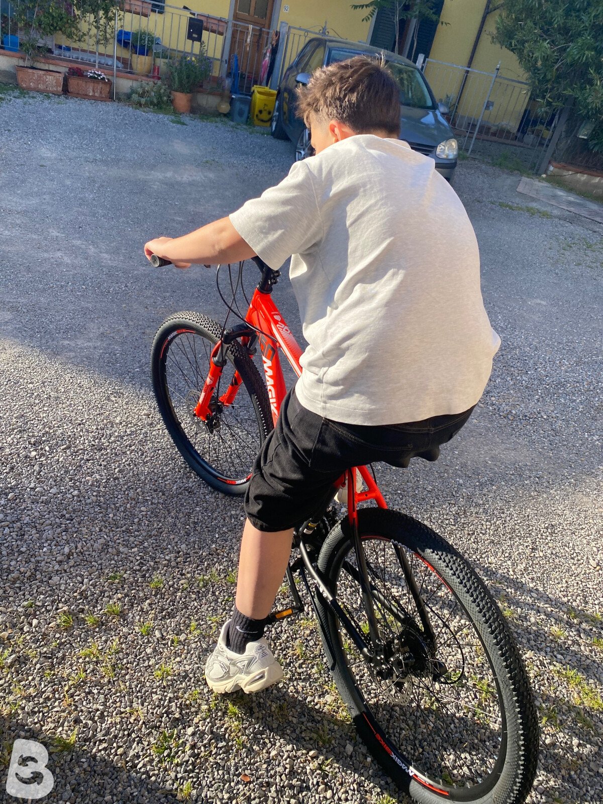 Magic Bike 260 predator 2025