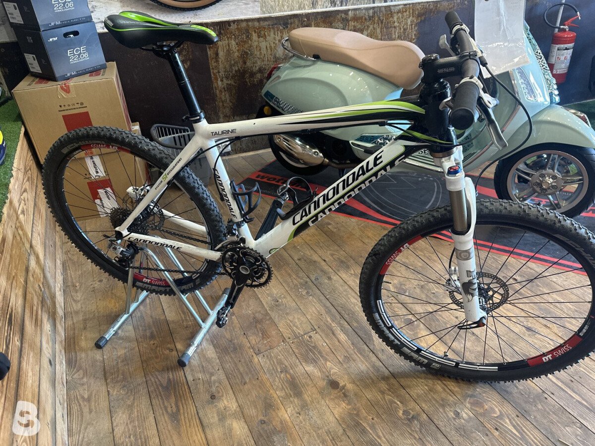 Cannondale Taurine 1999