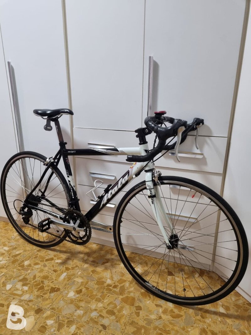 Atala srl200 2010