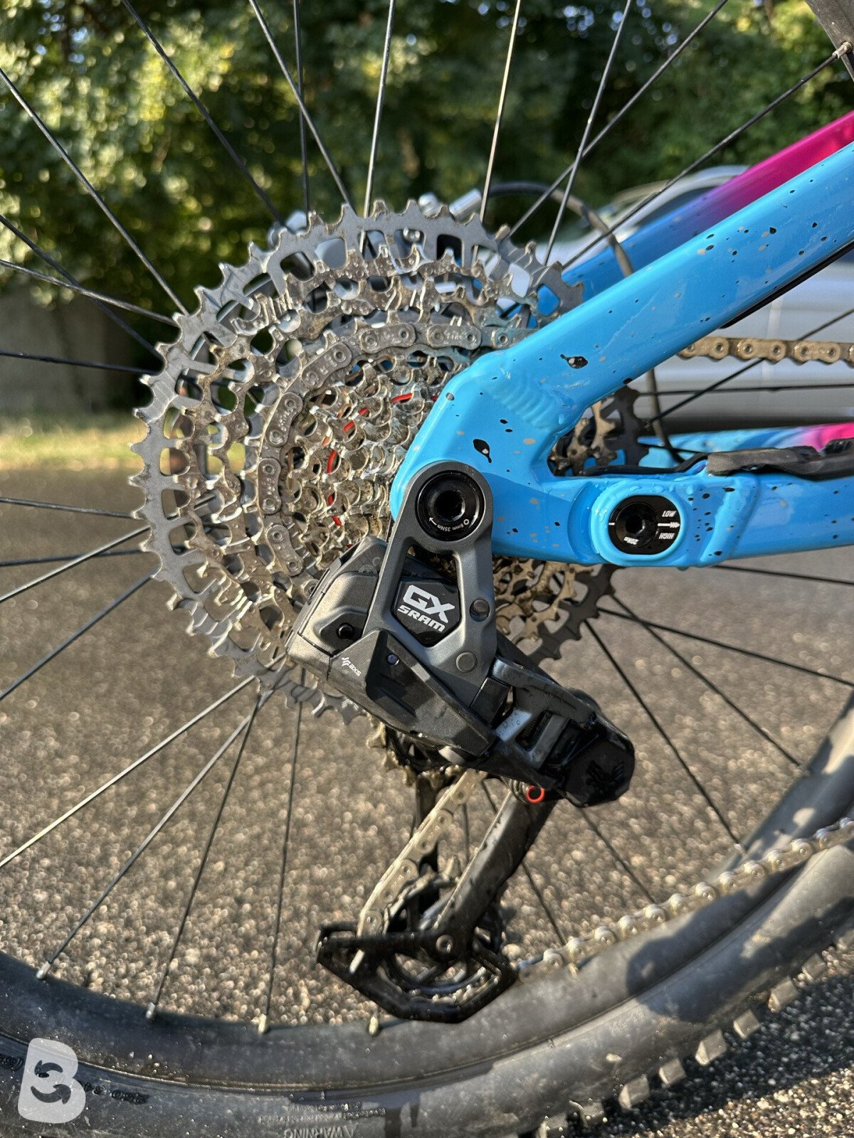 Marin Alpine Trail 2025