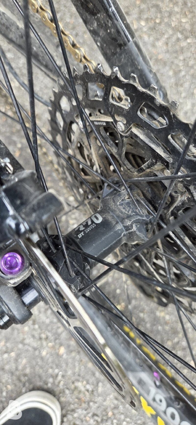 Canyon Spectral Al 5 2020