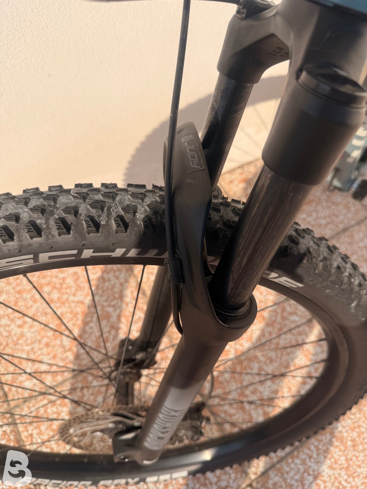 Sants Alloy AM29 2026