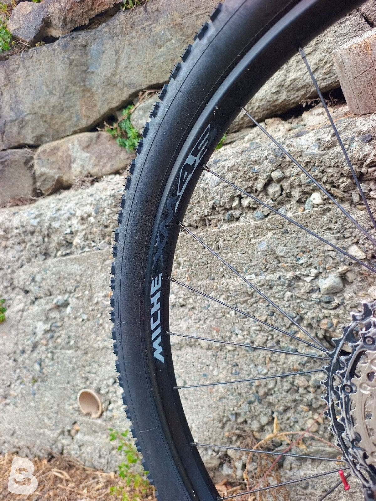 Wilier Usma Slr XT-XTR 2024