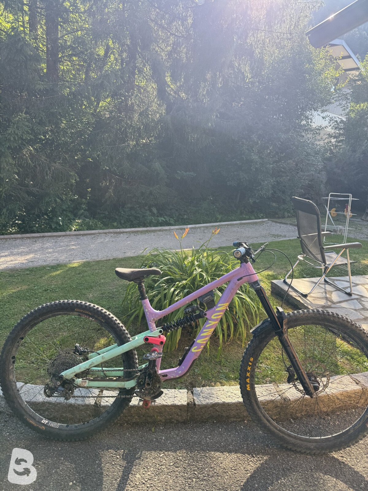 Canyon Torque Al 5 2022