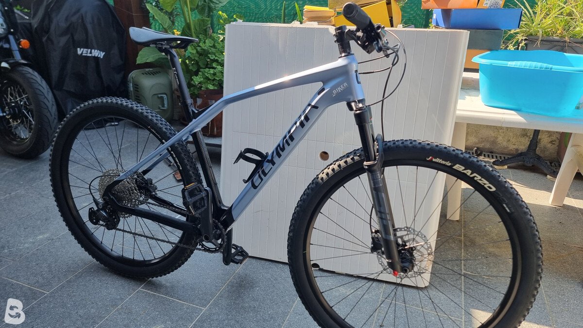 Olympia Iron 29 2024