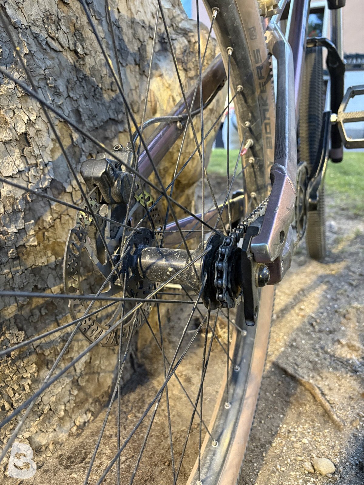 Cube Bikes flying circus 2024