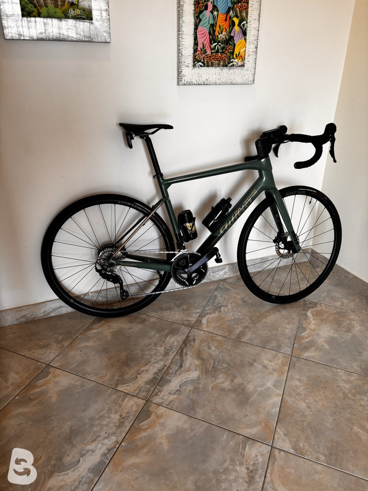 Wilier Garda 2025