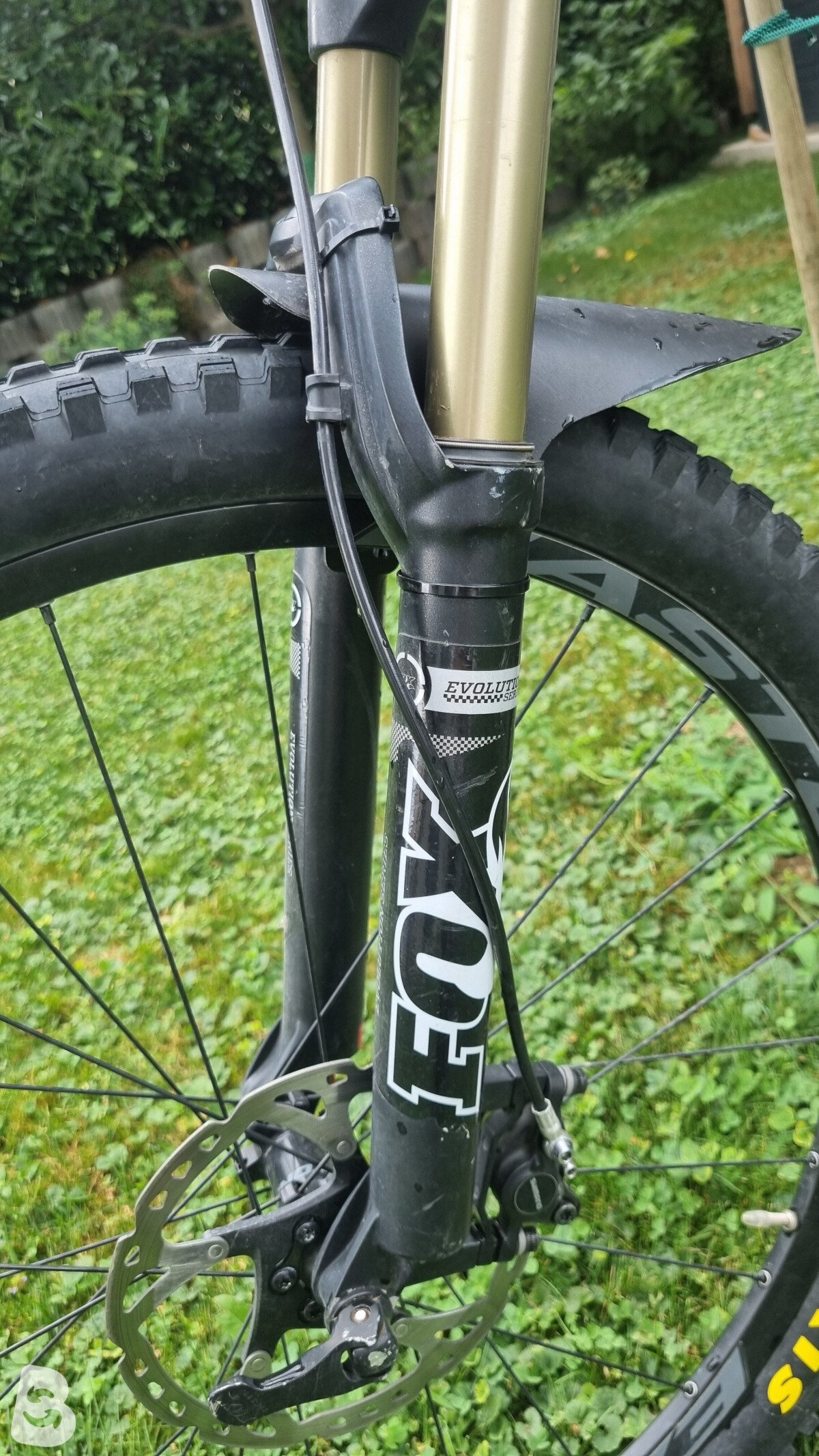 Stevens Riva 2014