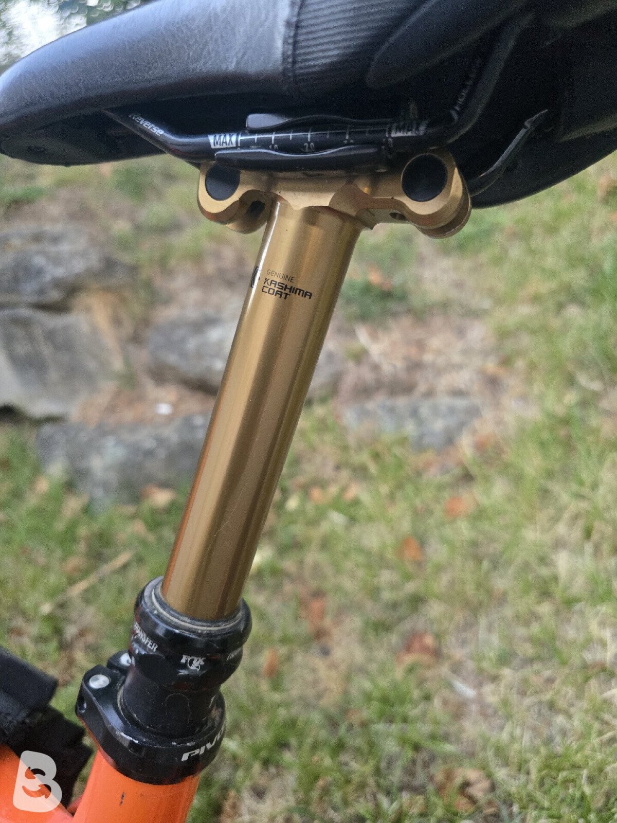 Pivot Firebird pro 2023