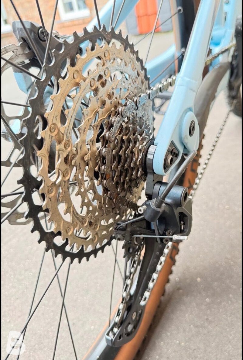 Canyon Neuron 6 2022