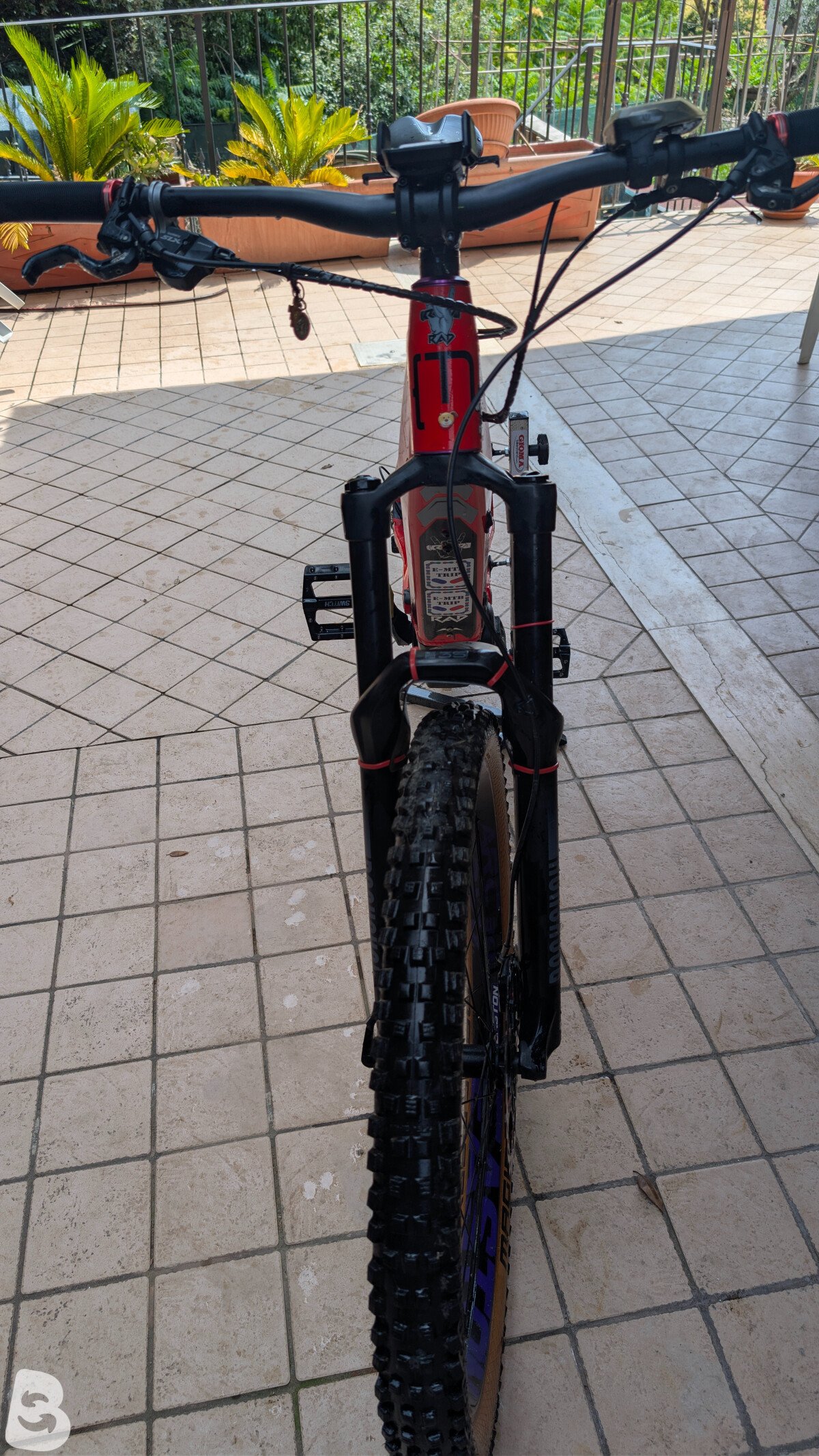 Moustache Samedi 27 Race 6 2018