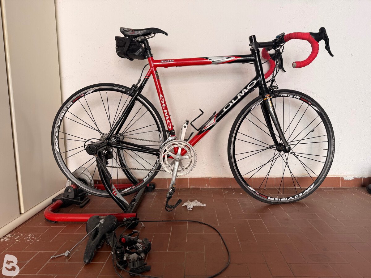 Olmo Scatto 2005