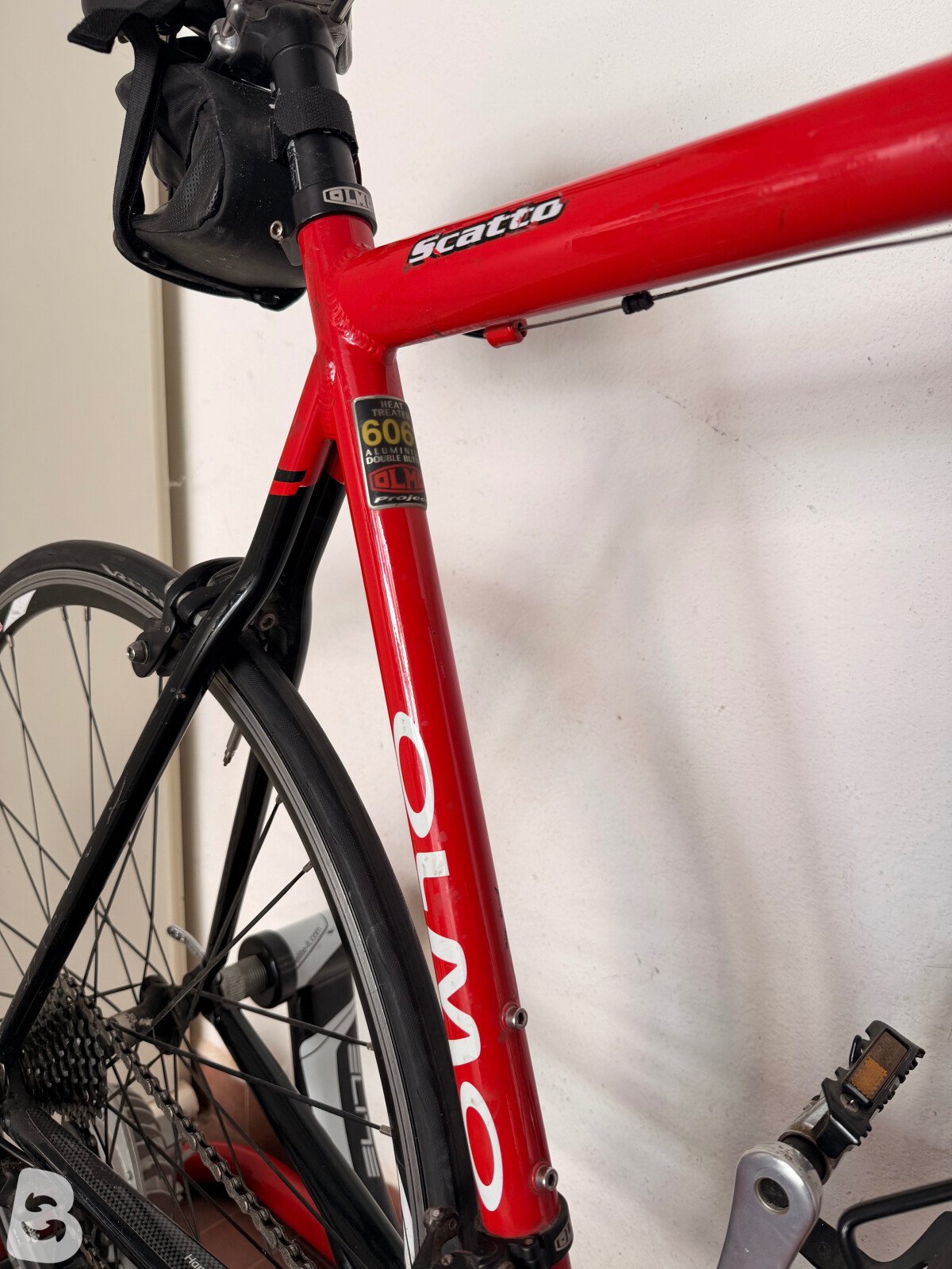 Olmo Scatto 2005