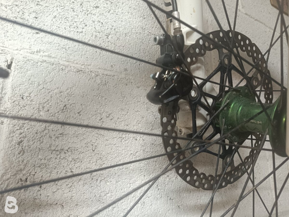 Lapierre Froggy 318 2010