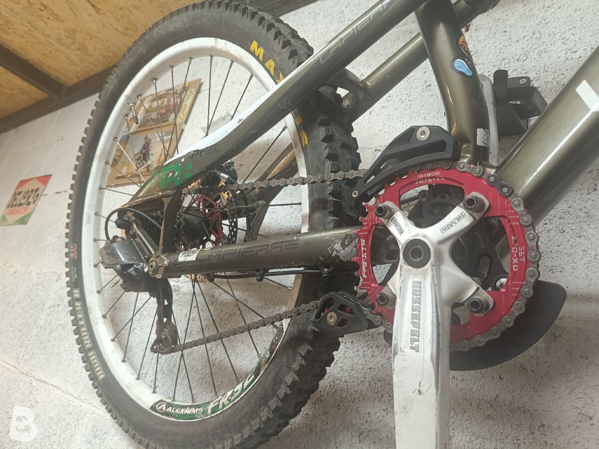Lapierre Froggy 318 2010
