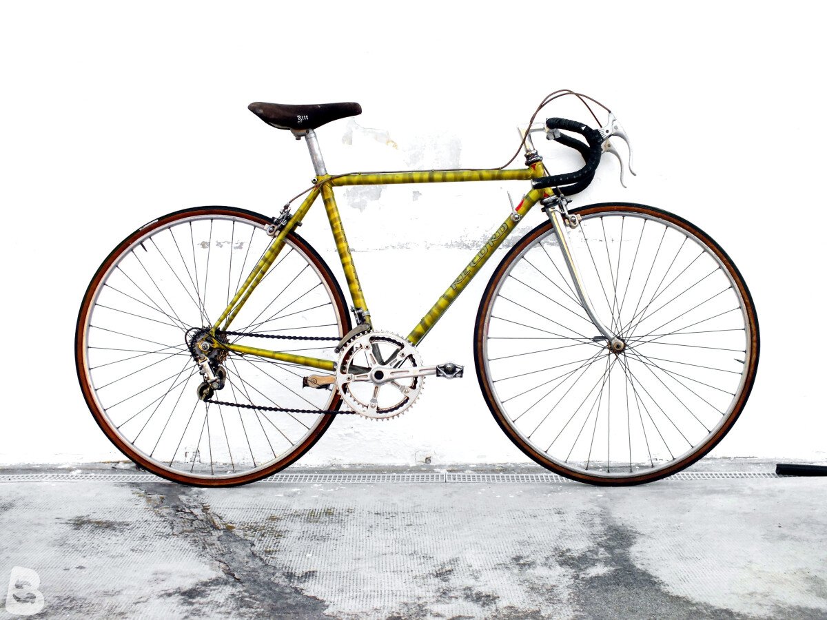 CYCLES RECORD zebrata 1980