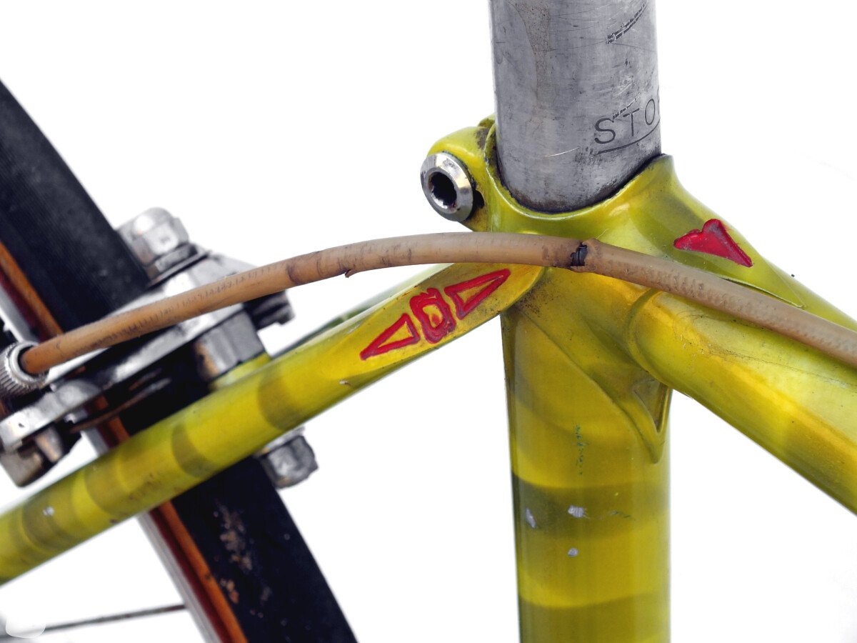 CYCLES RECORD zebrata 1980